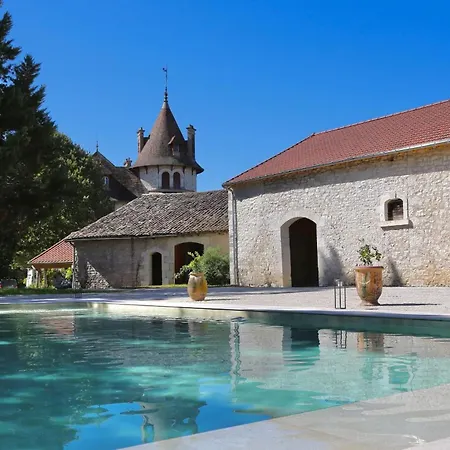 Chateau De Peyronnenc Bed and breakfast *