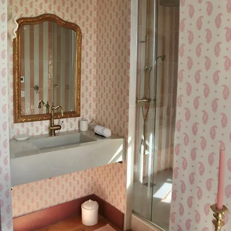 Bed and breakfast Chateau De Peyronnenc